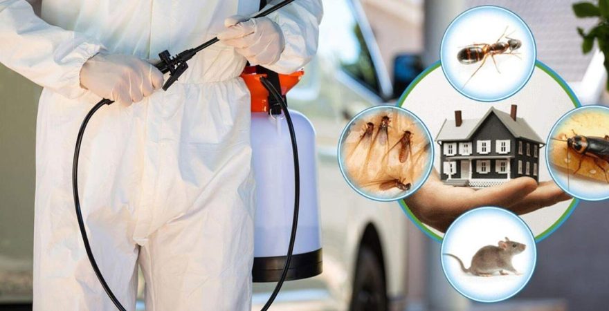 İpekyolu Böcek İlaçlama