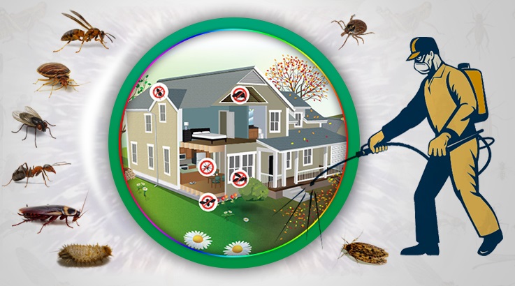 İpekyolu Böcek İlaçlama