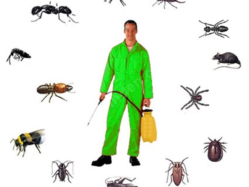 İpekyolu Böcek İlaçlama